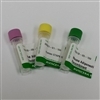 Aviscera Bioscience/Anti Eosinophil Cationic Protein (ECP) (Mouse) Antibody/1/A00128-03-100