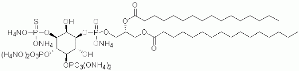 梯队公司/PtdIns（3,4,5）P3 3-硫代磷酸酯，diC16（3S PtdIns（3,4,5）P3，diC16）/100ug/P-3S916-100ug