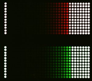 CalibrationSlide